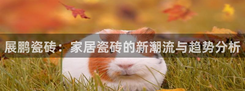 金年会体育下载app