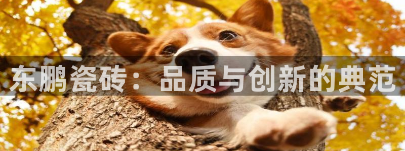 金年会体育平台官网