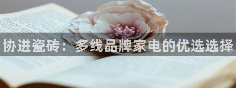 澳门与金年会的关系