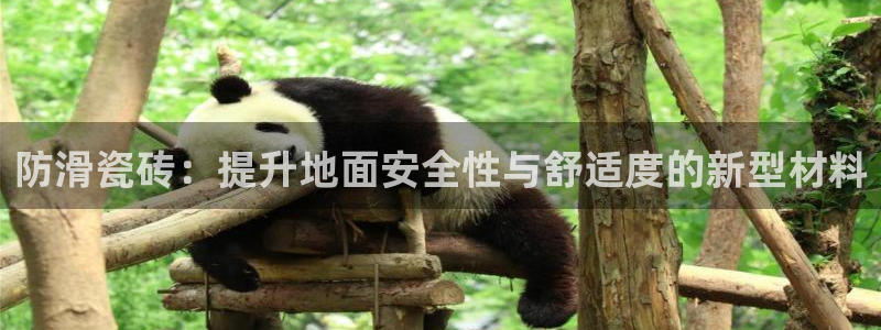 金雅陶瓷年会现场