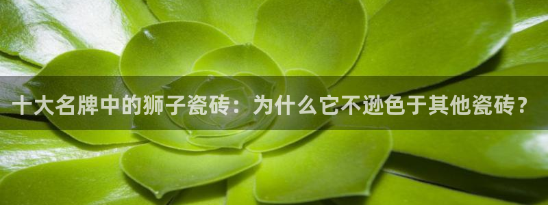 金年会体育官方网站入口