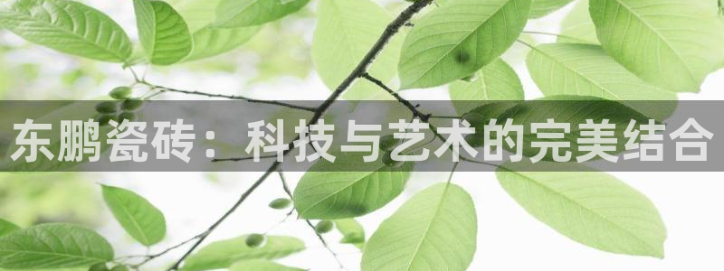 金金年会