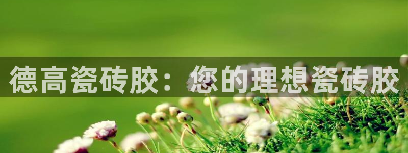 金年会平台登陆