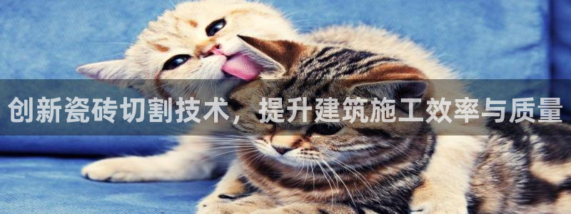 金实年会